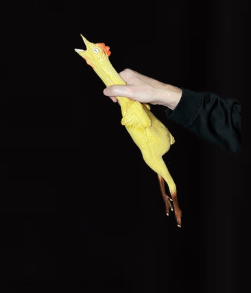 Rubber Chicken